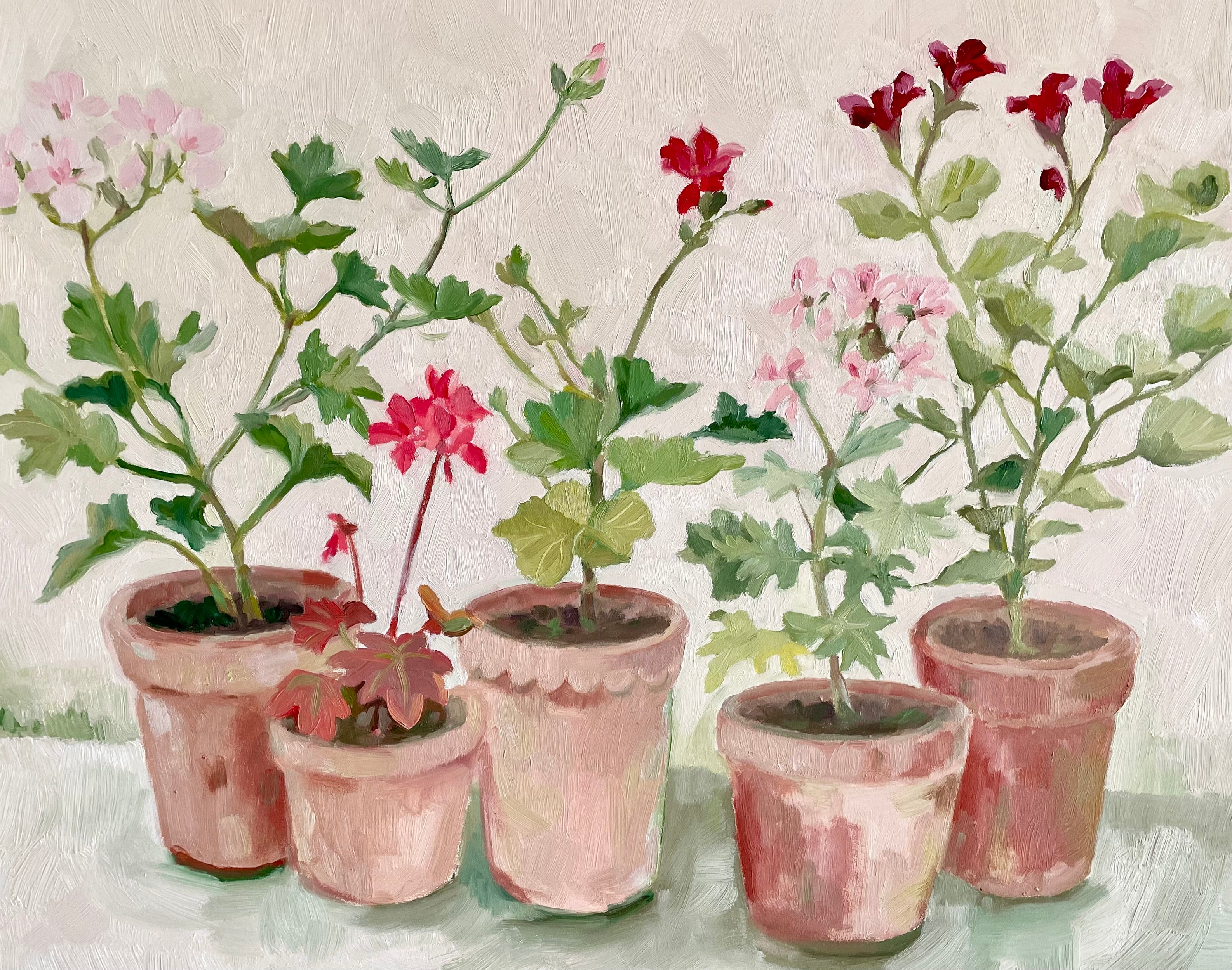 oil painting of pots of geraniums 