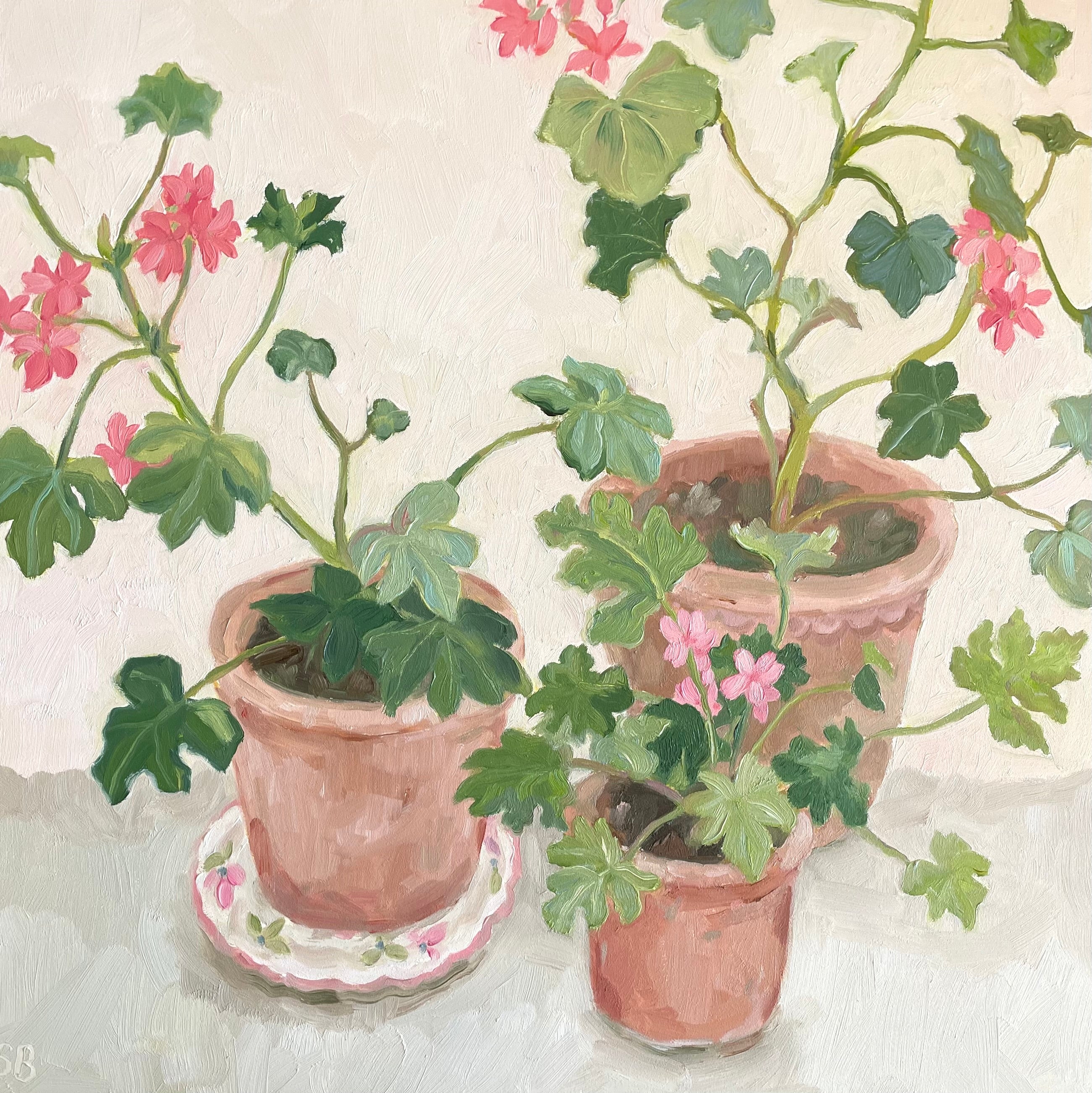 oil painting of pink geraniums in terracotta pots